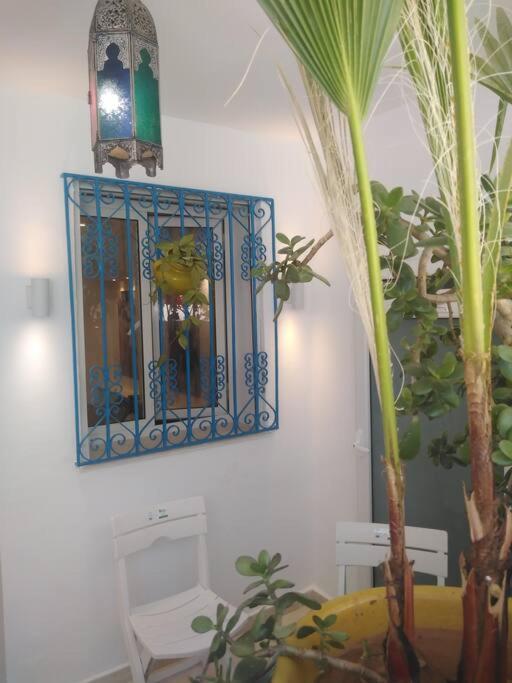 Cosy Appartement In "Sidi Bou Said" 外观 照片