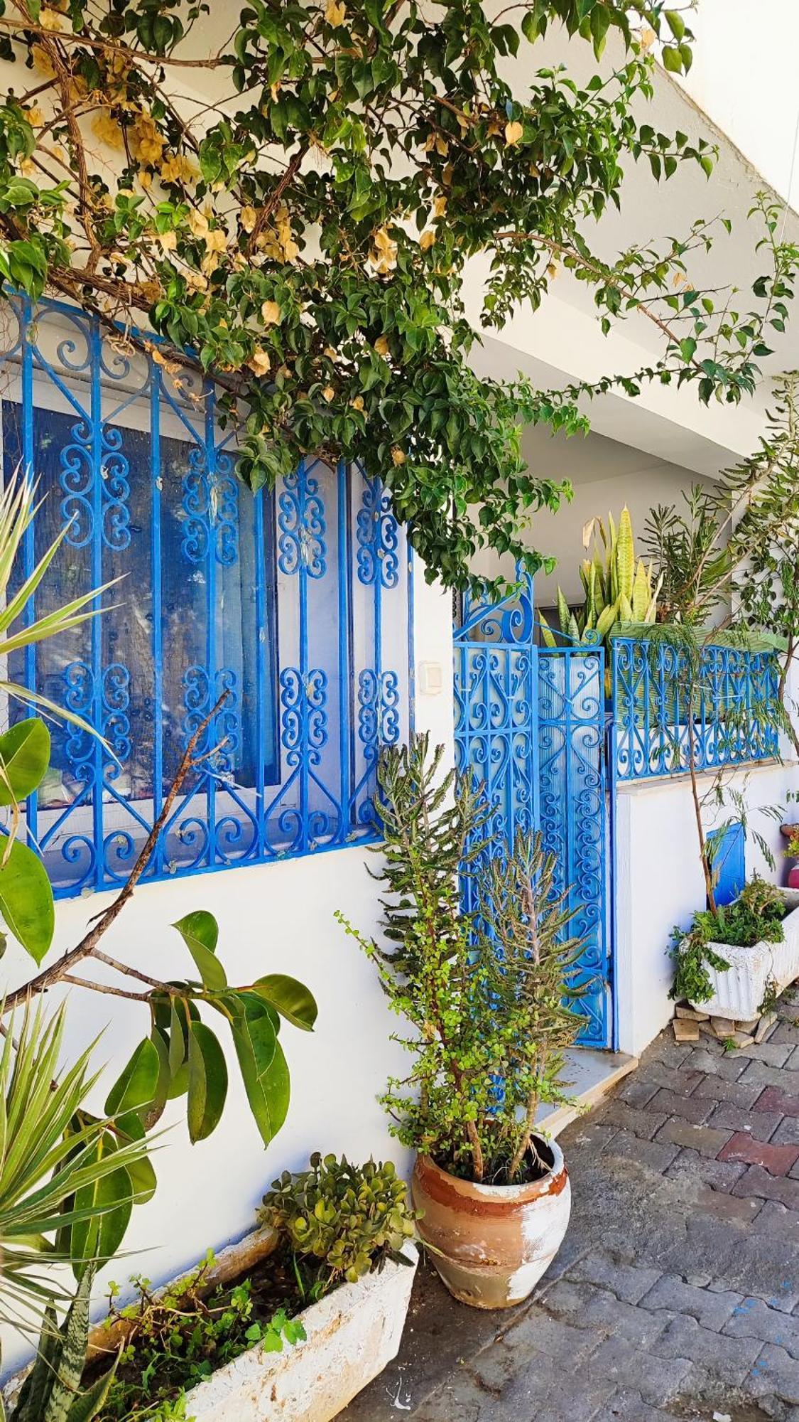 Cosy Appartement In "Sidi Bou Said" 外观 照片