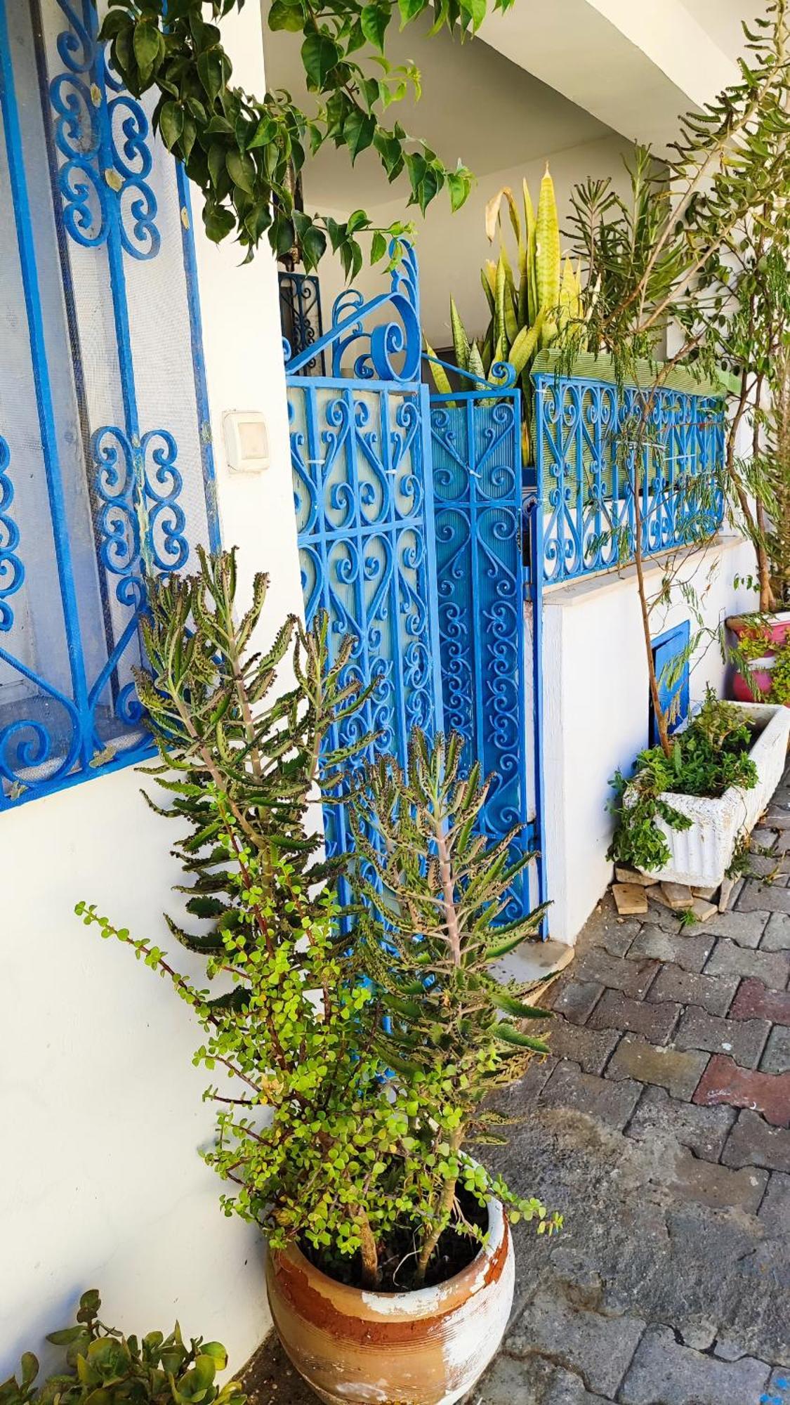 Cosy Appartement In "Sidi Bou Said" 外观 照片